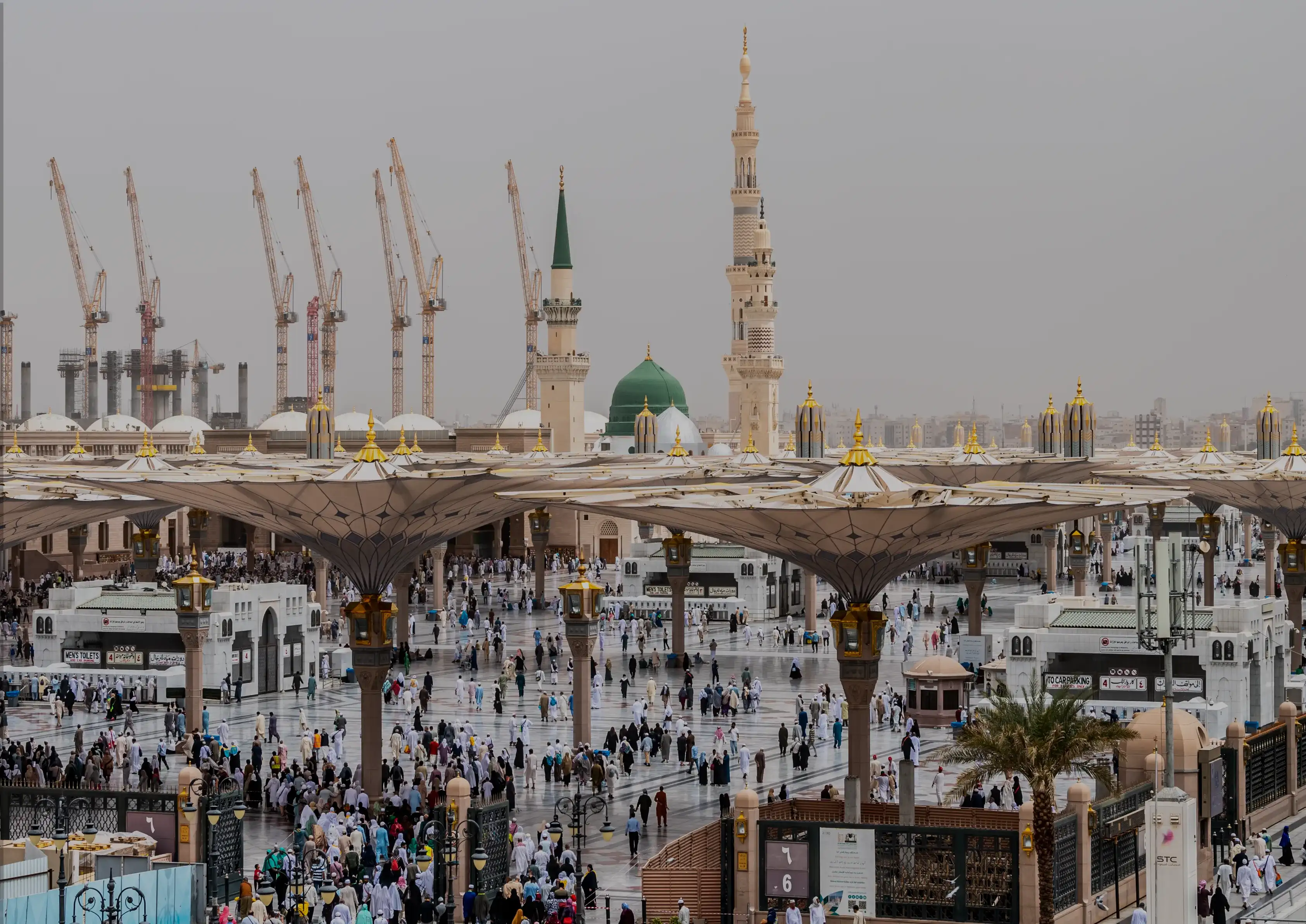 المدينة المنورة